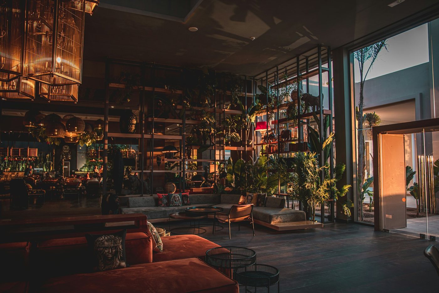 Lounge med palmer og grønne planter